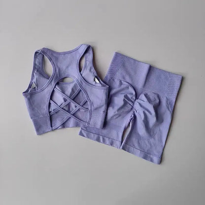 2-Piece Seamless Yoga Set for Women – High Waist Shorts & Sports Bra | Breathable, Quick-Dry Gym Workout Outfit - OJABay