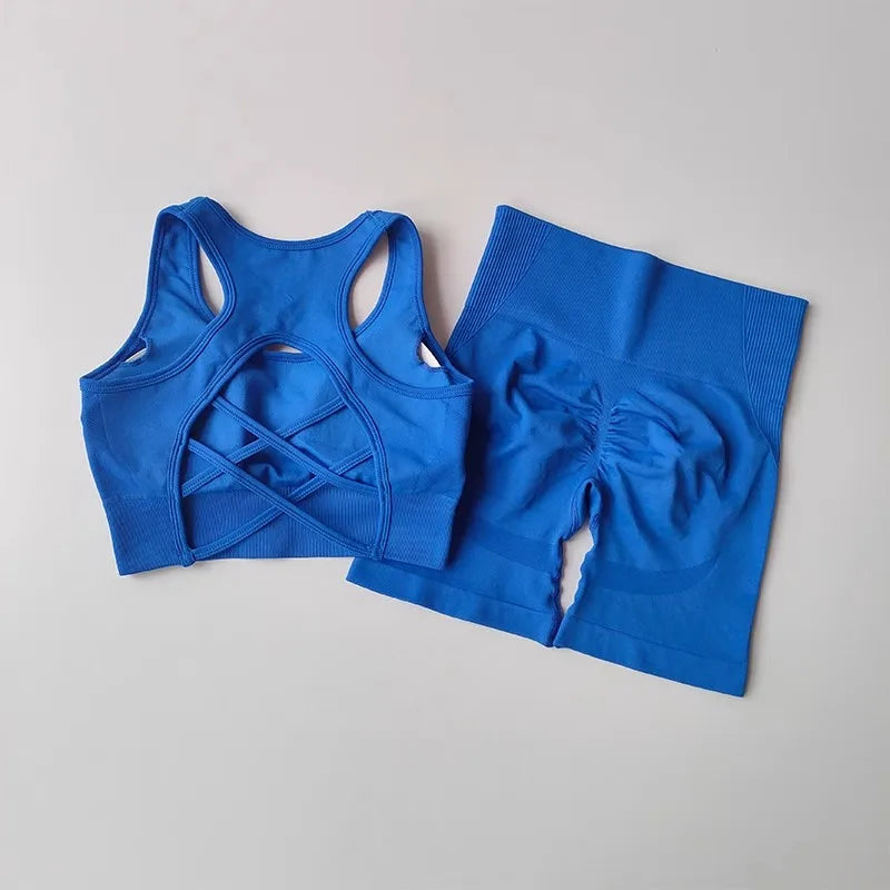 2-Piece Seamless Yoga Set for Women – High Waist Shorts & Sports Bra | Breathable, Quick-Dry Gym Workout Outfit - OJABay
