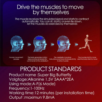 EMS Muscle Stimulator – Abdominal, Arm & Buttocks Trainer for Toning & Slimming - OJABay
