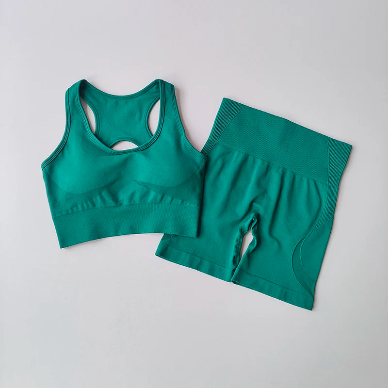 2-Piece Seamless Yoga Set for Women – High Waist Shorts & Sports Bra | Breathable, Quick-Dry Gym Workout Outfit - OJABay