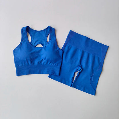 2-Piece Seamless Yoga Set for Women – High Waist Shorts & Sports Bra | Breathable, Quick-Dry Gym Workout Outfit - OJABay