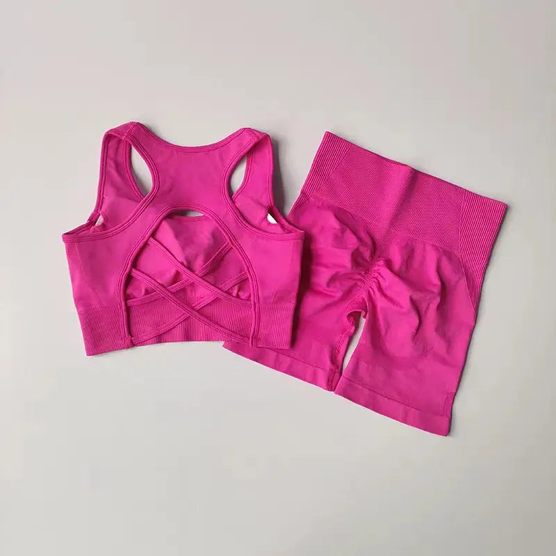 2-Piece Seamless Yoga Set for Women – High Waist Shorts & Sports Bra | Breathable, Quick-Dry Gym Workout Outfit - OJABay