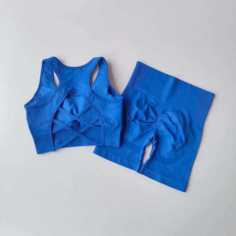 2-Piece Seamless Yoga Set for Women – High Waist Shorts & Sports Bra | Breathable, Quick-Dry Gym Workout Outfit - OJABay