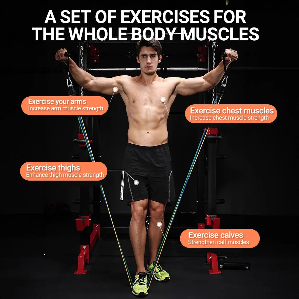 Resistance Bands Set 10–14PCS with Handles, Door Anchor & Ankle Straps