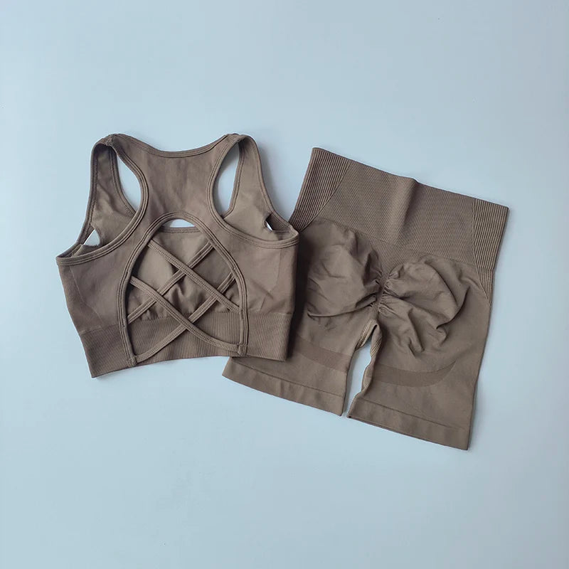 2-Piece Seamless Yoga Set for Women – High Waist Shorts & Sports Bra | Breathable, Quick-Dry Gym Workout Outfit - OJABay
