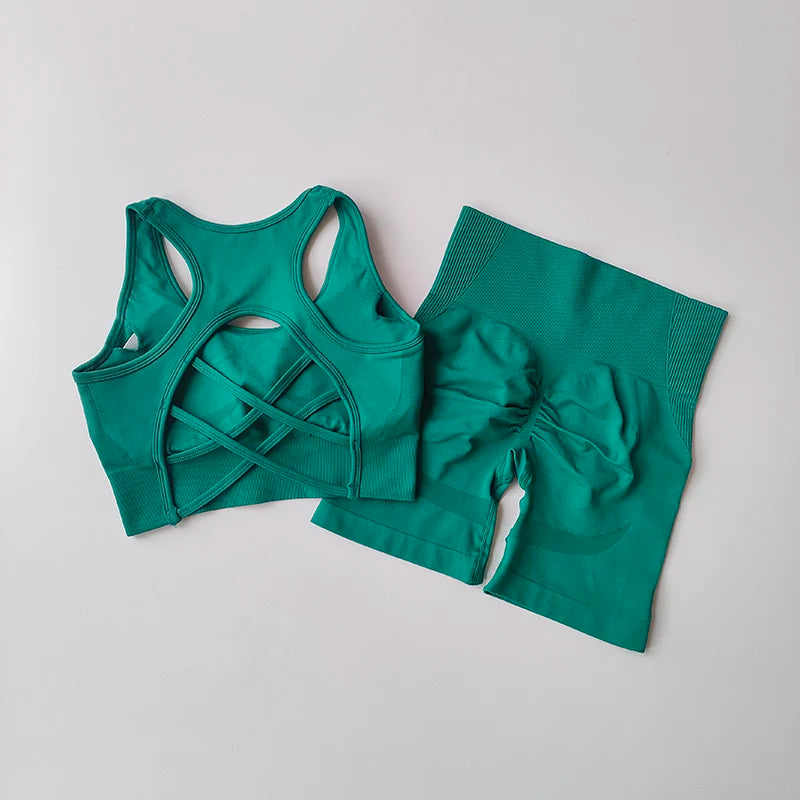 2-Piece Seamless Yoga Set for Women – High Waist Shorts & Sports Bra | Breathable, Quick-Dry Gym Workout Outfit - OJABay
